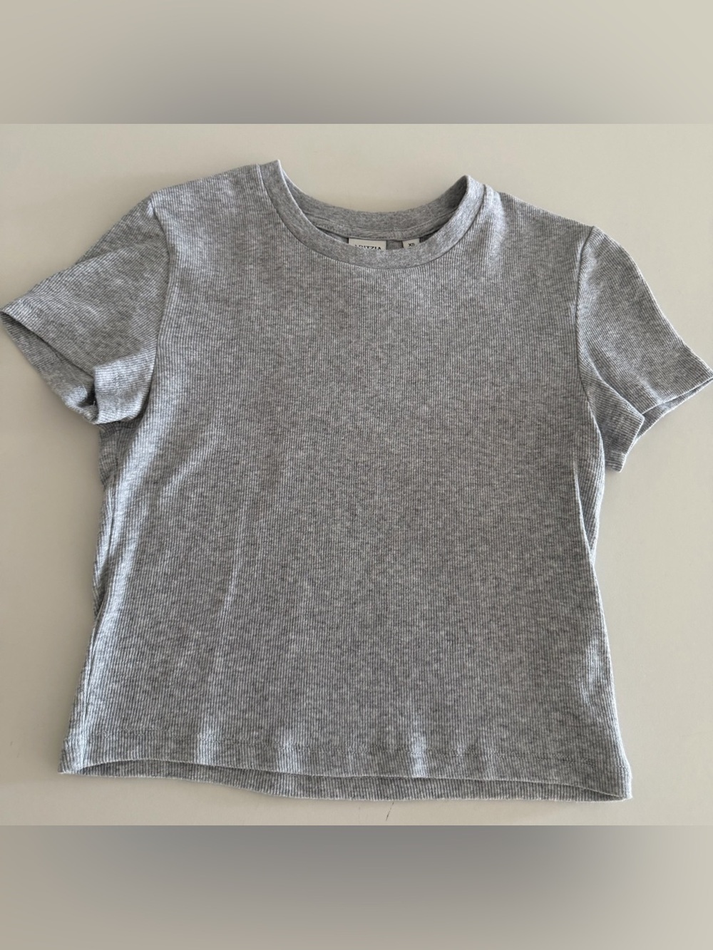 Aritzia Short-Sleeve Ribbed Tee